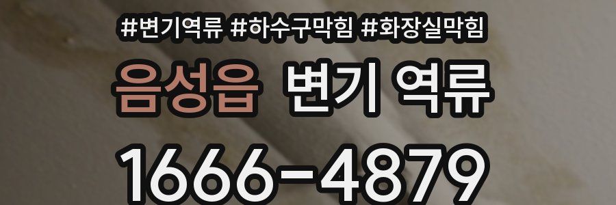 음성읍 변기 역류