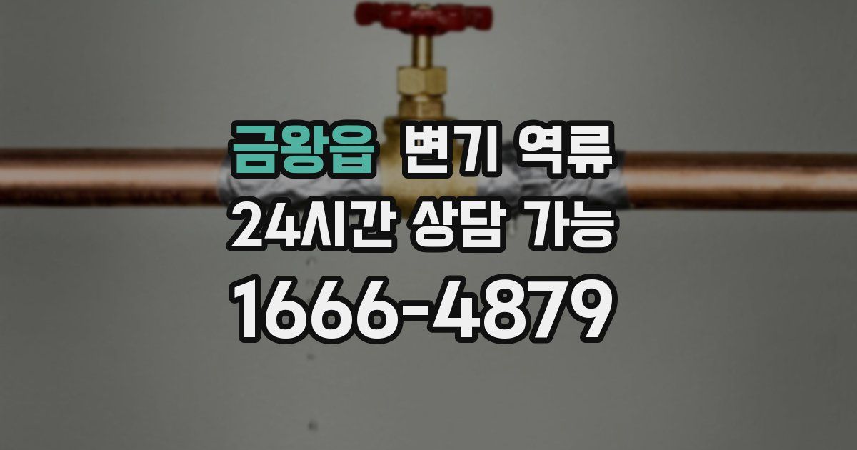 금왕읍 변기 역류