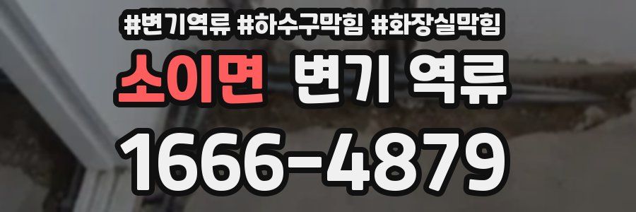 소이면 변기 역류