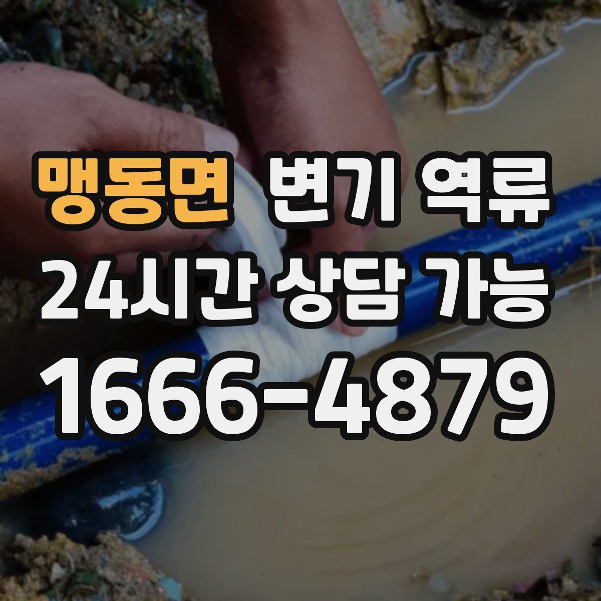 맹동면 변기 역류