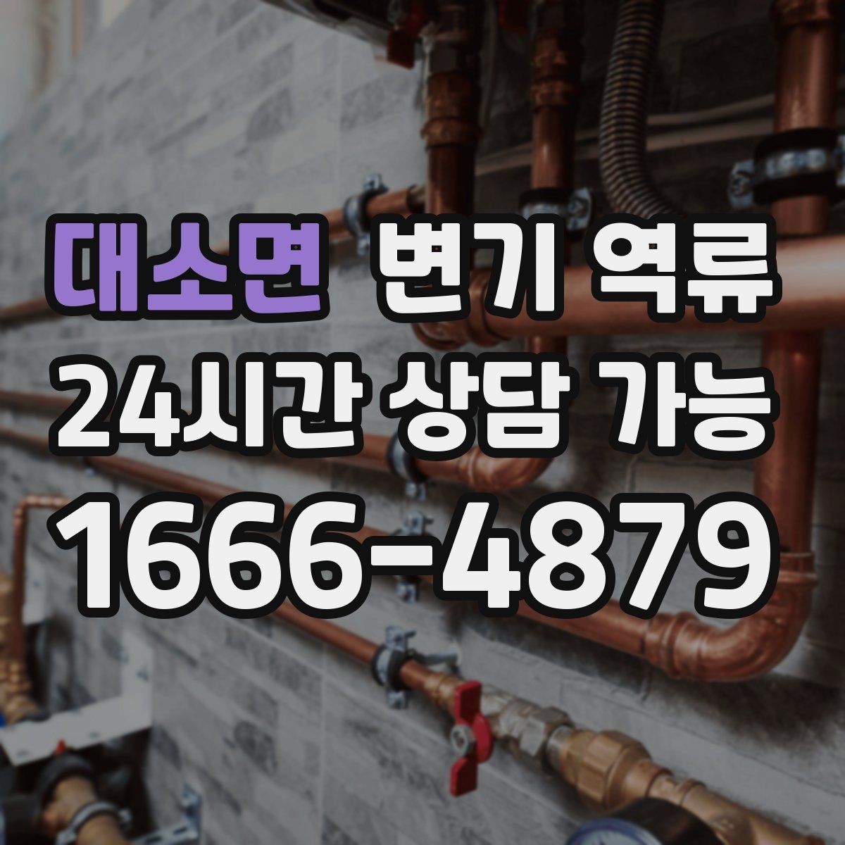대소면 변기 역류 리모델링 이후 갑자기 생기는 경우 정리