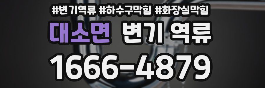 대소면 변기 역류