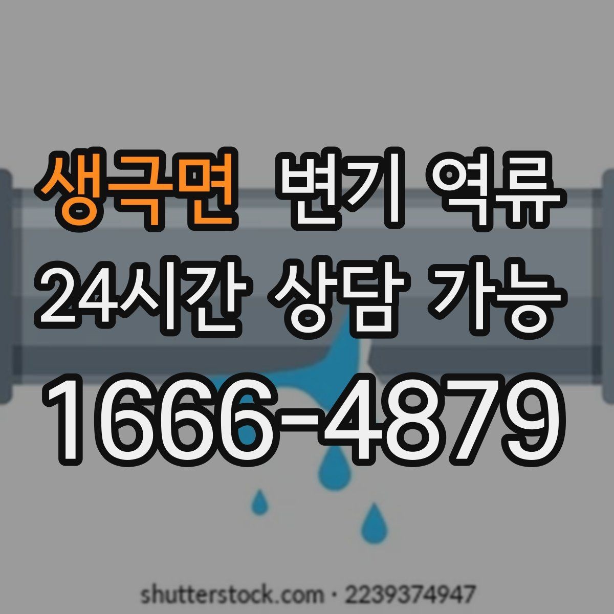 생극면 변기 역류 변기 교체 후에도 발생한다면 무엇을 볼까