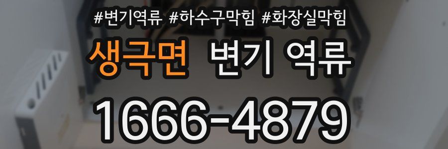 생극면 변기 역류