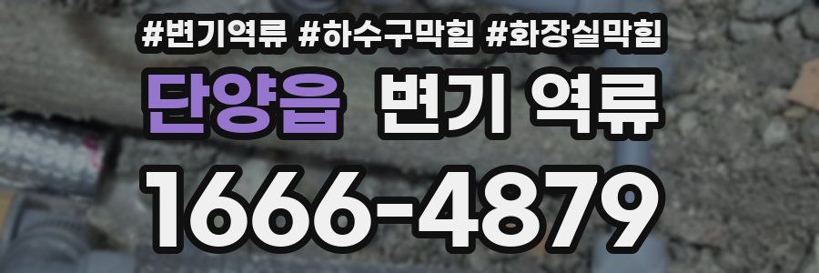 단양읍 변기 역류