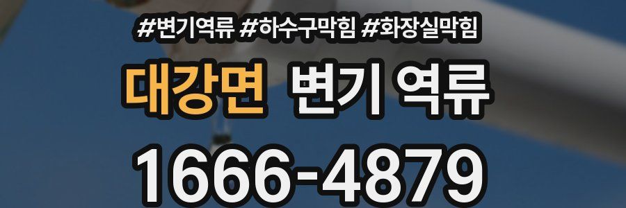 대강면 변기 역류