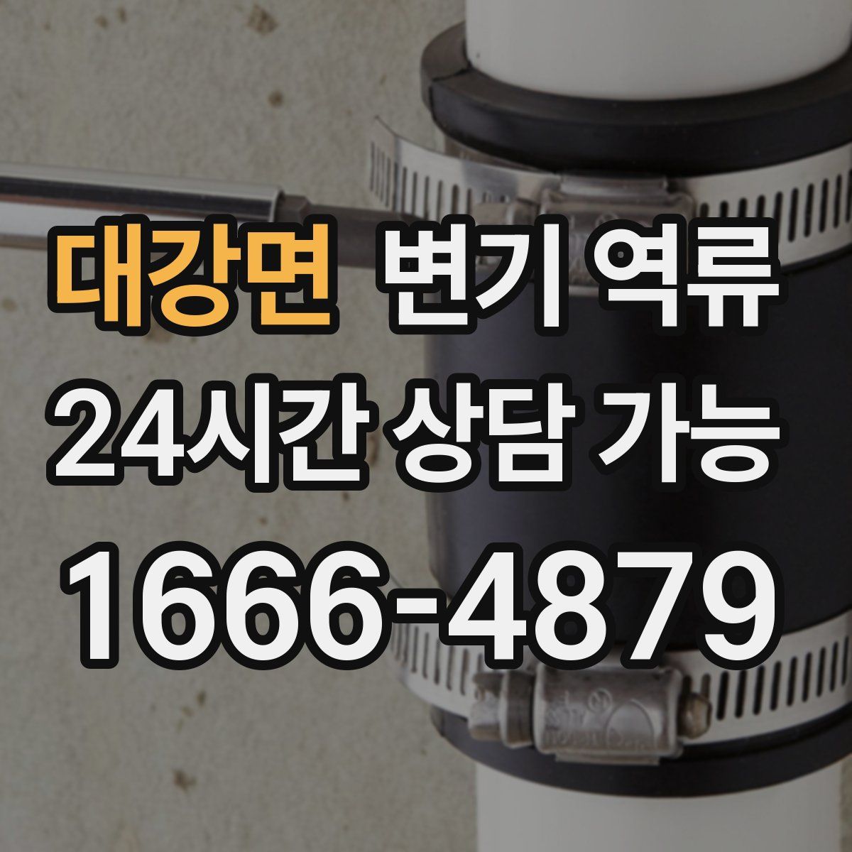 대강면 변기 역류