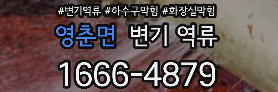 영춘면 변기 역류