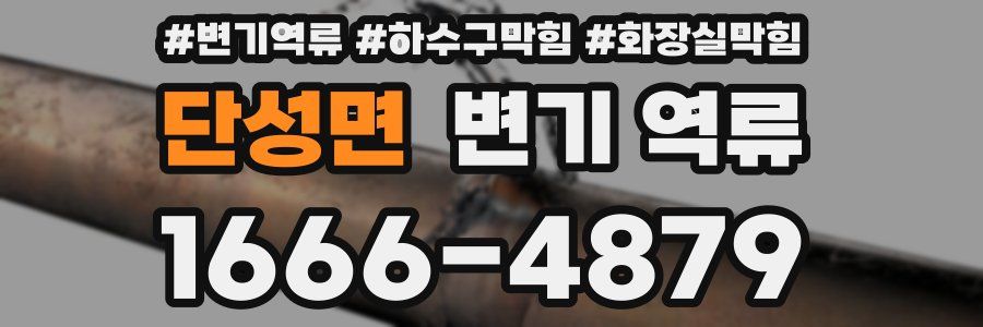 단성면 변기 역류