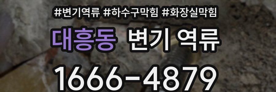 대흥동 변기 역류