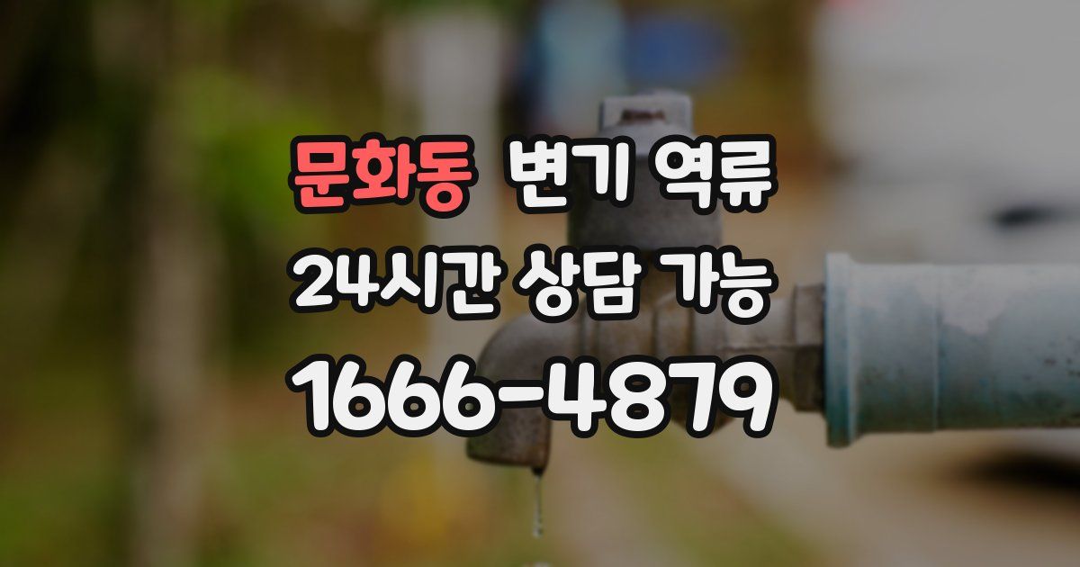 문화동 변기 역류