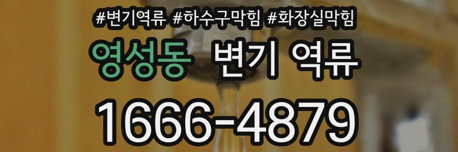 영성동 변기 역류