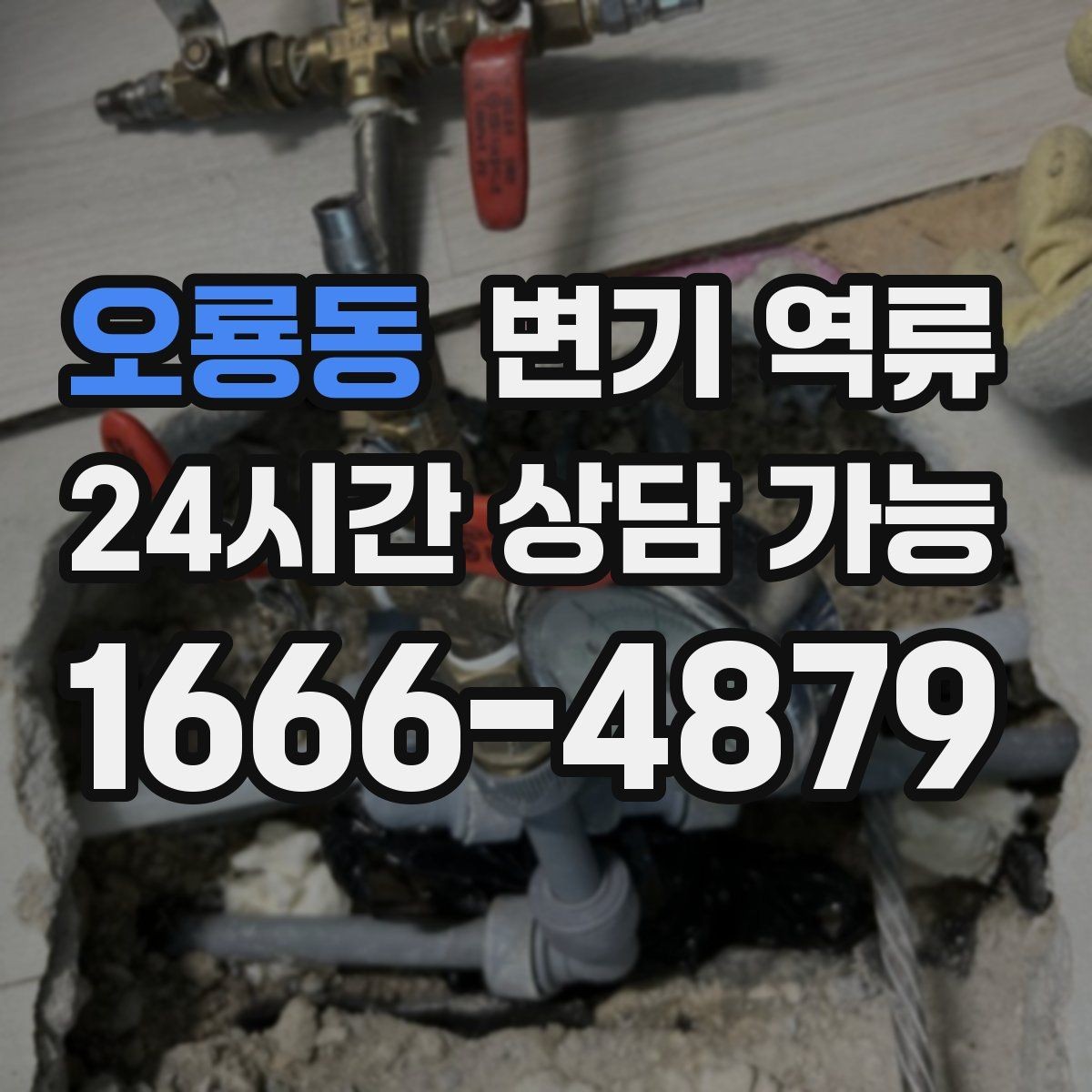 오룡동 변기 역류 공용 수직관 문제일 때 나타나는 징후