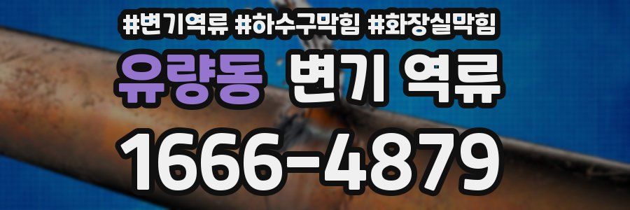 유량동 변기 역류