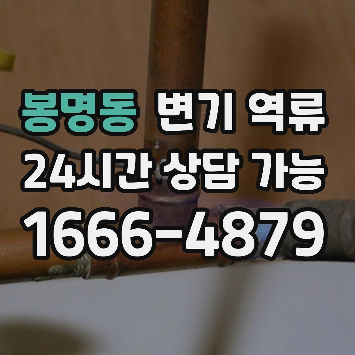 봉명동 변기 역류