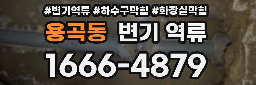 용곡동 변기 역류