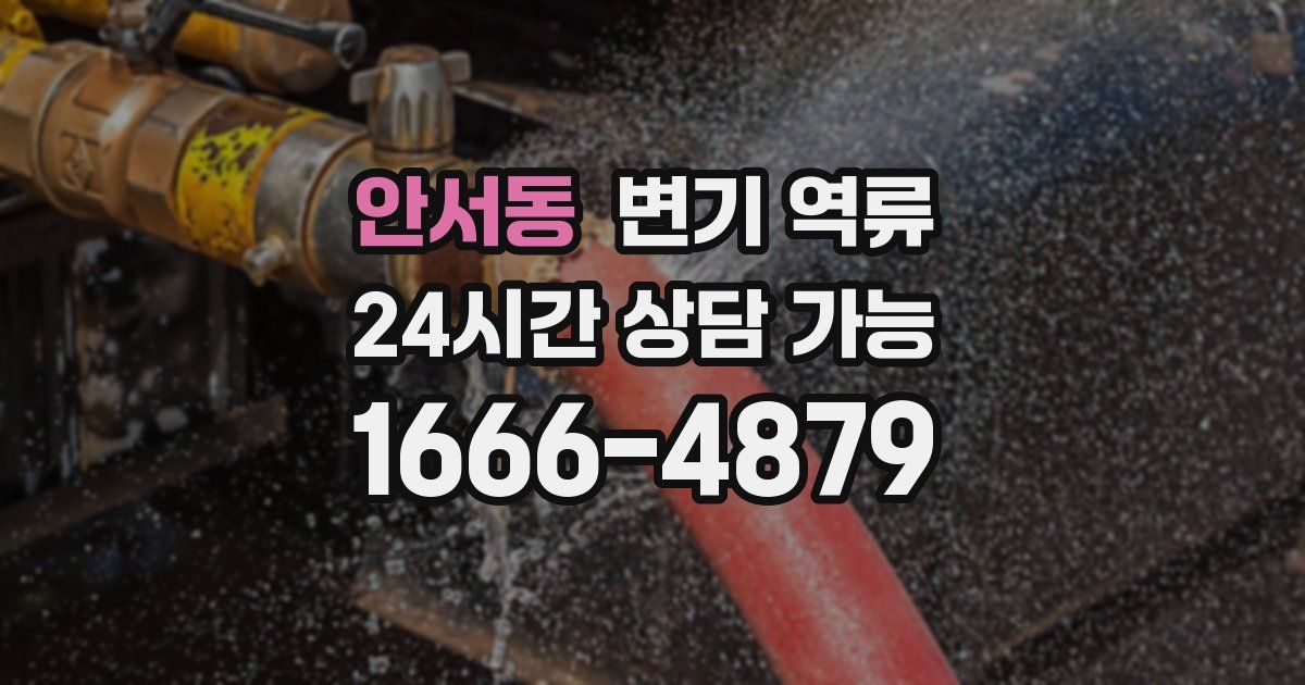 안서동 변기 역류