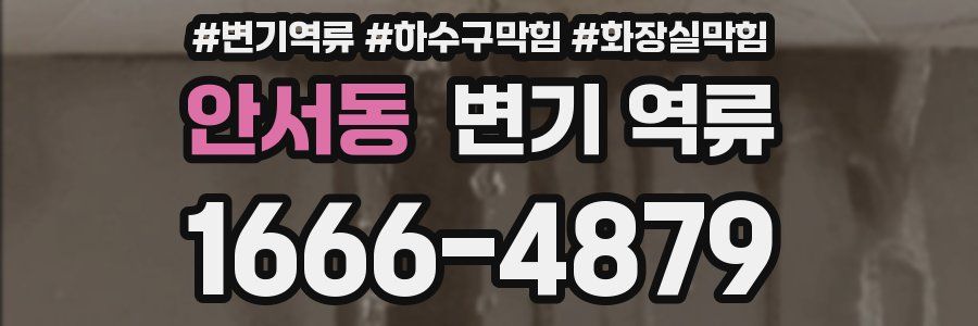 안서동 변기 역류