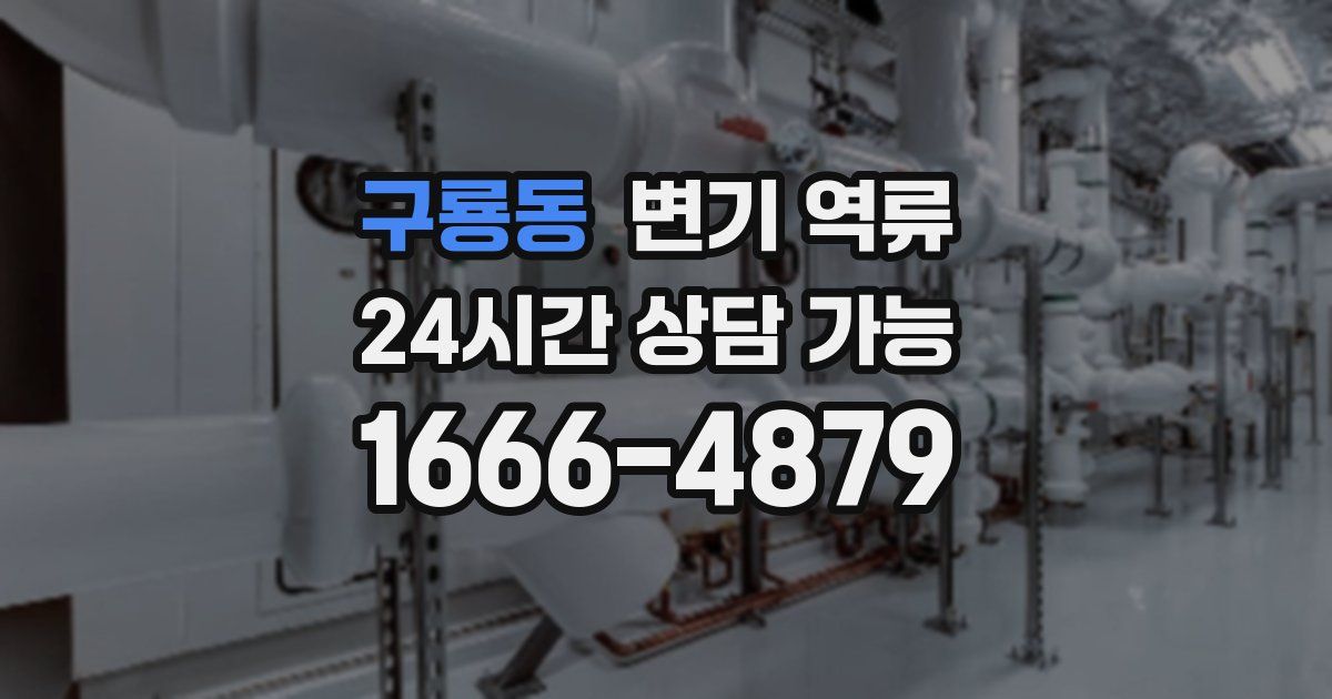 구룡동 변기 역류