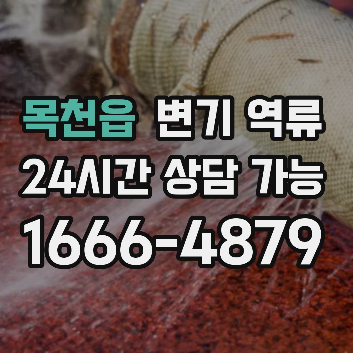 목천읍 변기 역류