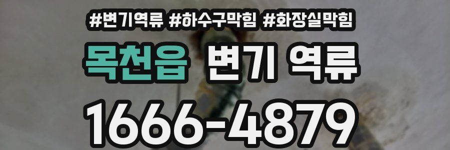 목천읍 변기 역류