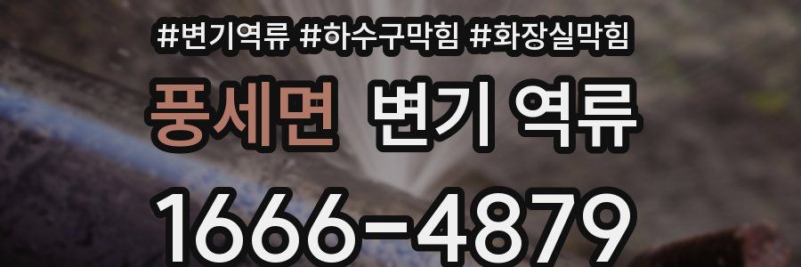 풍세면 변기 역류