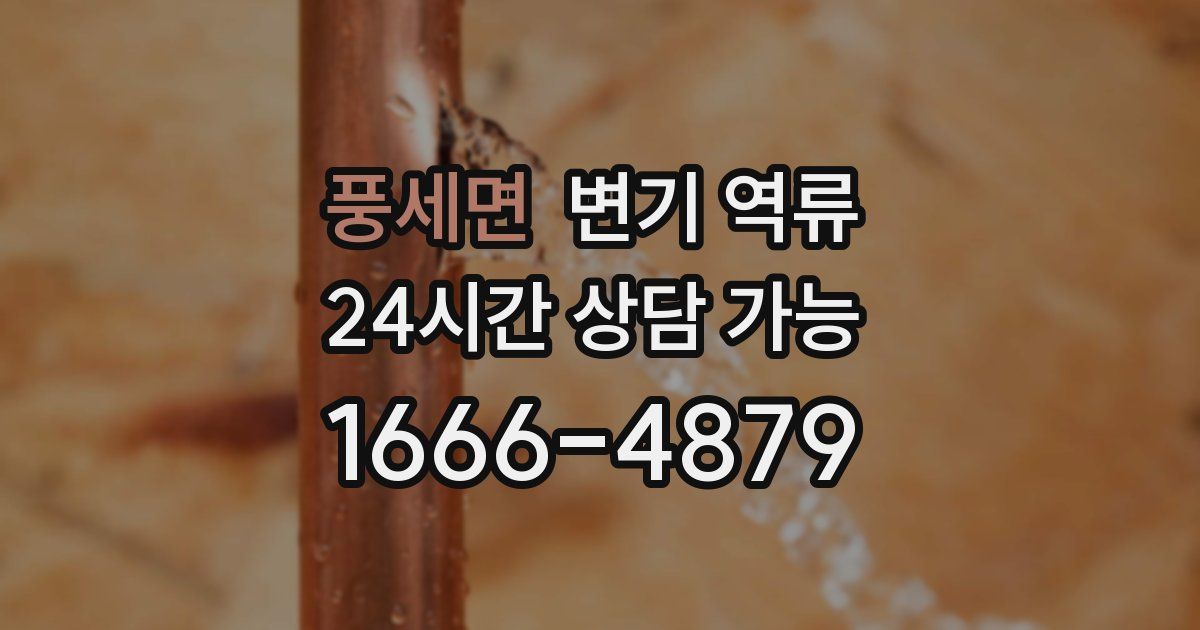 풍세면 변기 역류