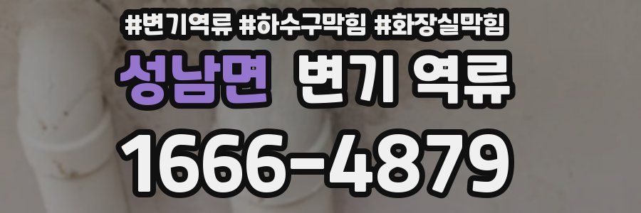 성남면 변기 역류