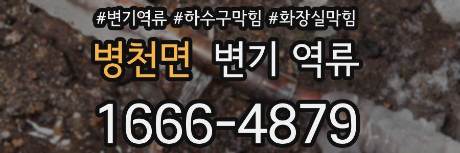 병천면 변기 역류