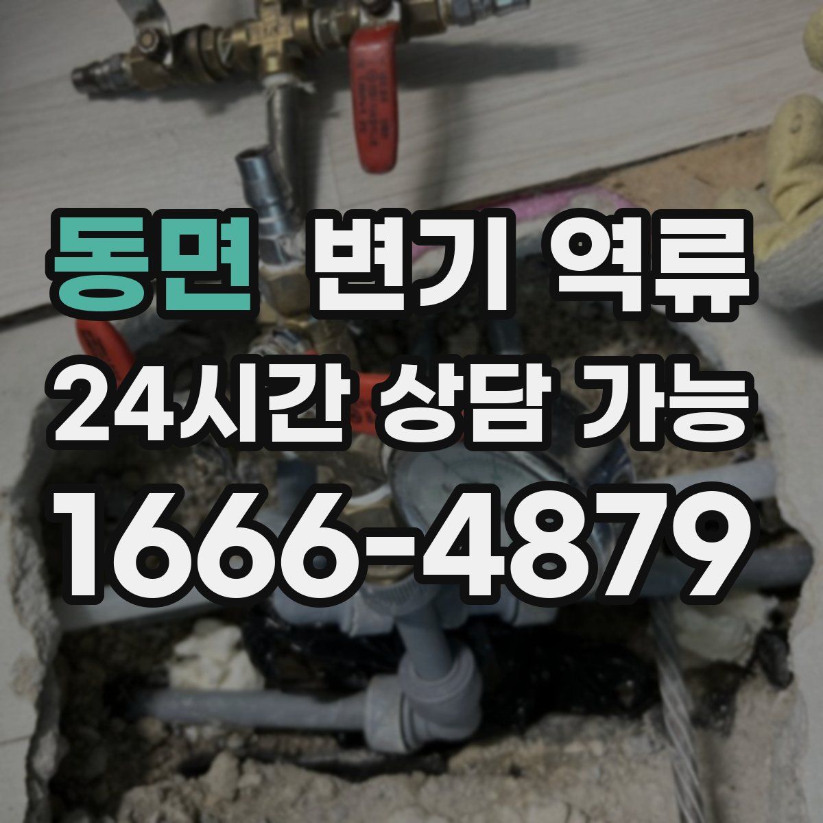 동면 변기 역류