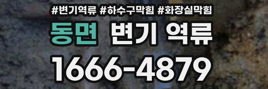 동면 변기 역류