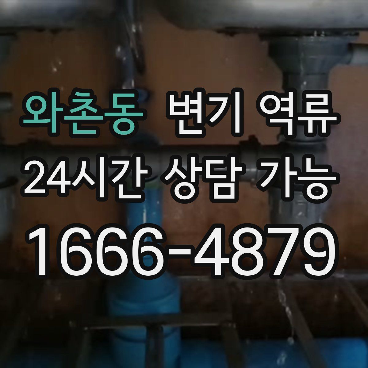 와촌동 변기 역류