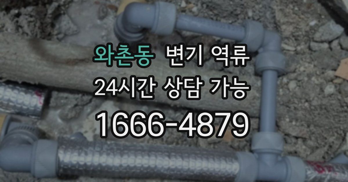 와촌동 변기 역류