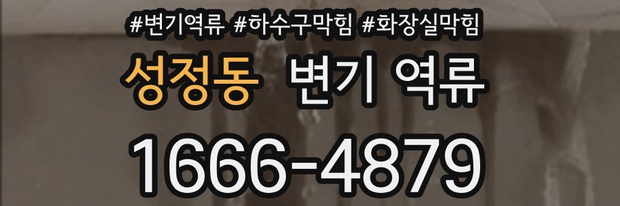 성정동 변기 역류