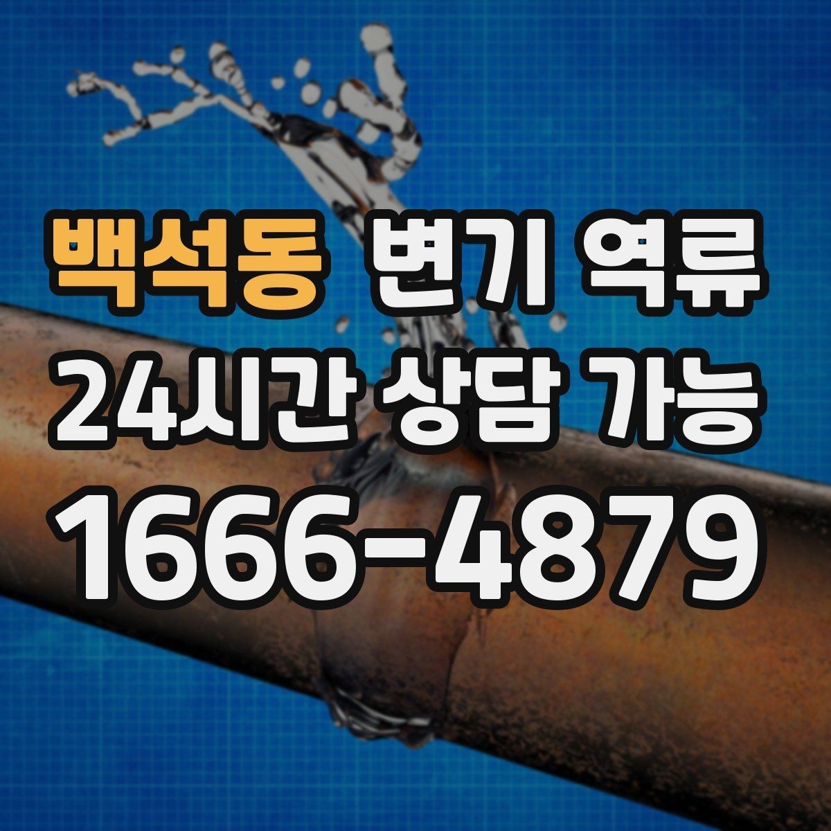 백석동 변기 역류 관리사무소에 먼저 알려야 하는 경우
