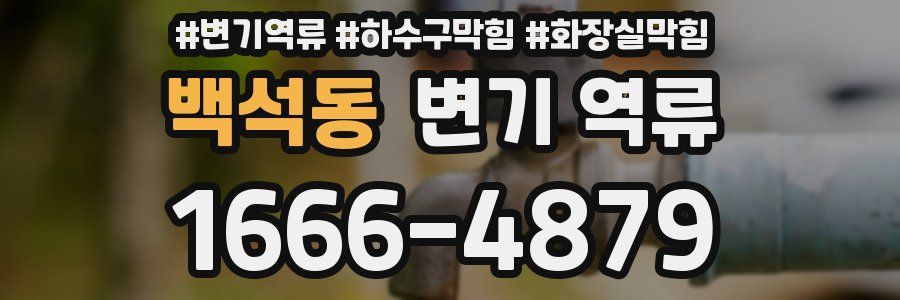 백석동 변기 역류