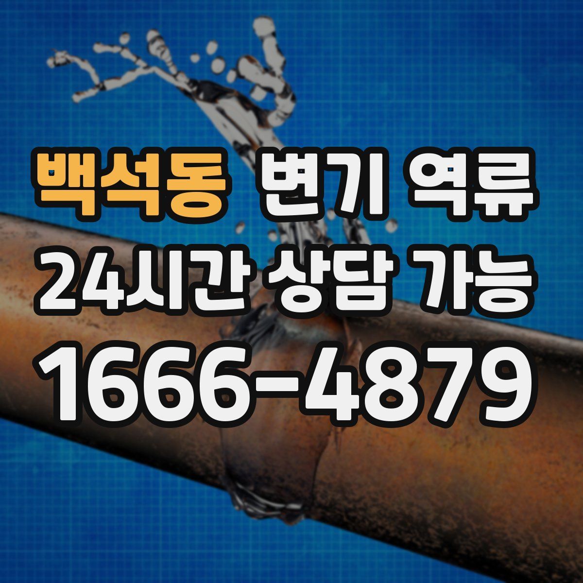 백석동 변기 역류