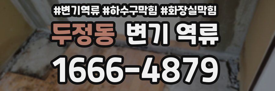 두정동 변기 역류