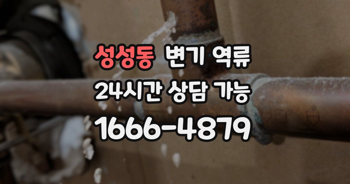 성성동 변기 역류