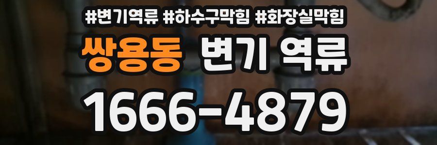 쌍용동 변기 역류