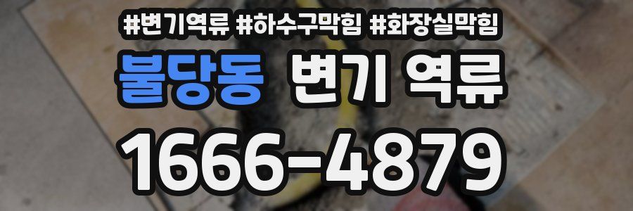 불당동 변기 역류