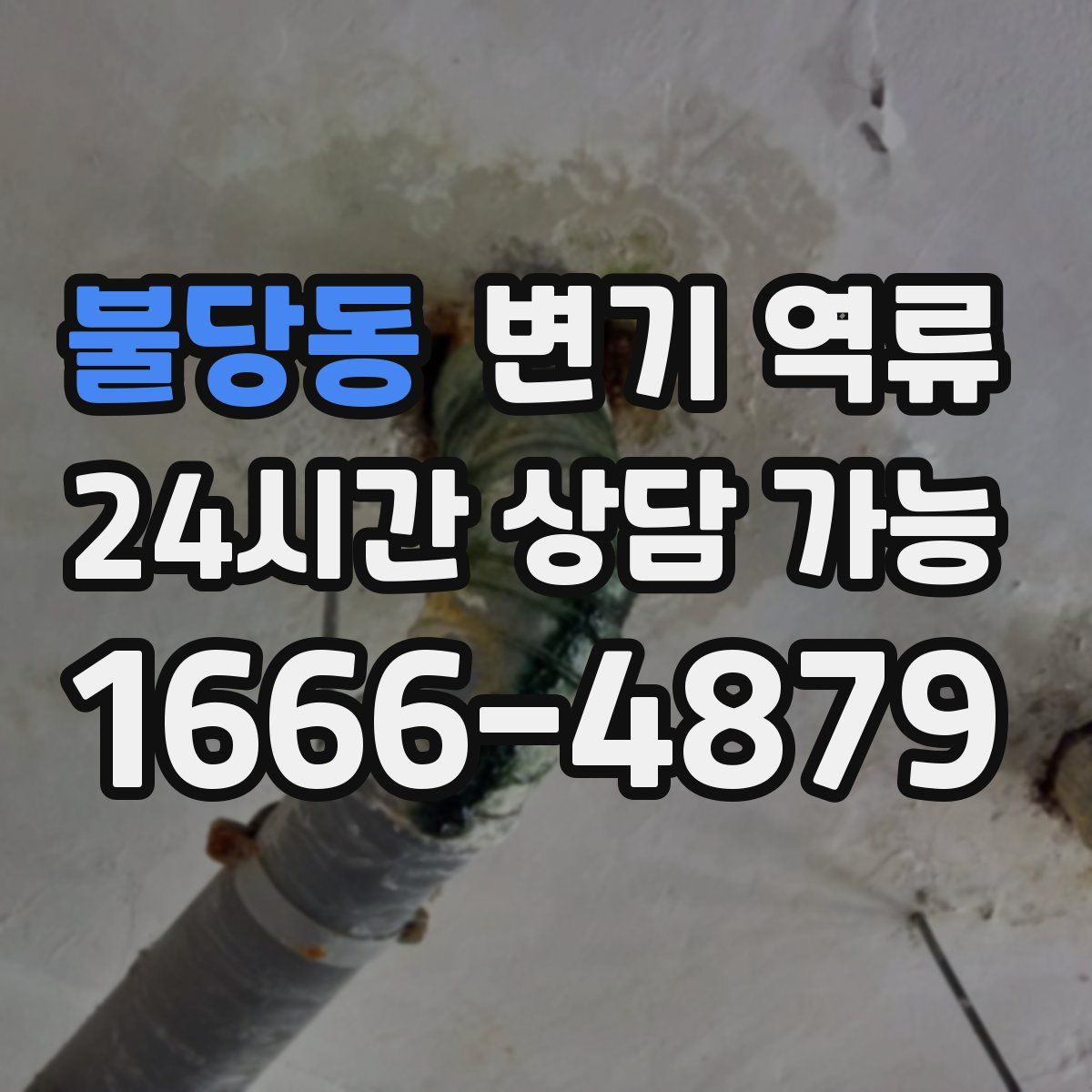 불당동 변기 역류