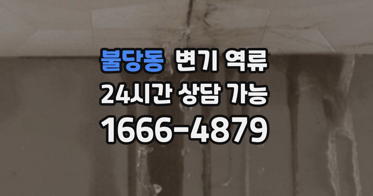 불당동 변기 역류