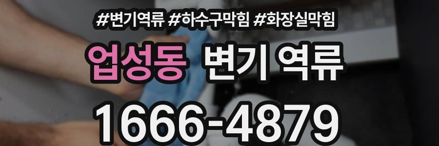 업성동 변기 역류