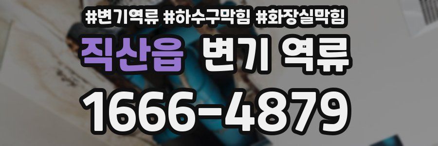 직산읍 변기 역류