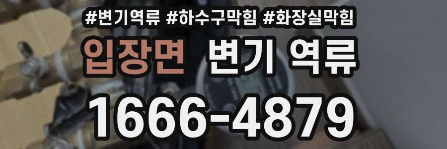 입장면 변기 역류