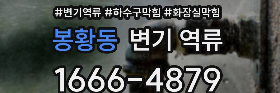 봉황동 변기 역류