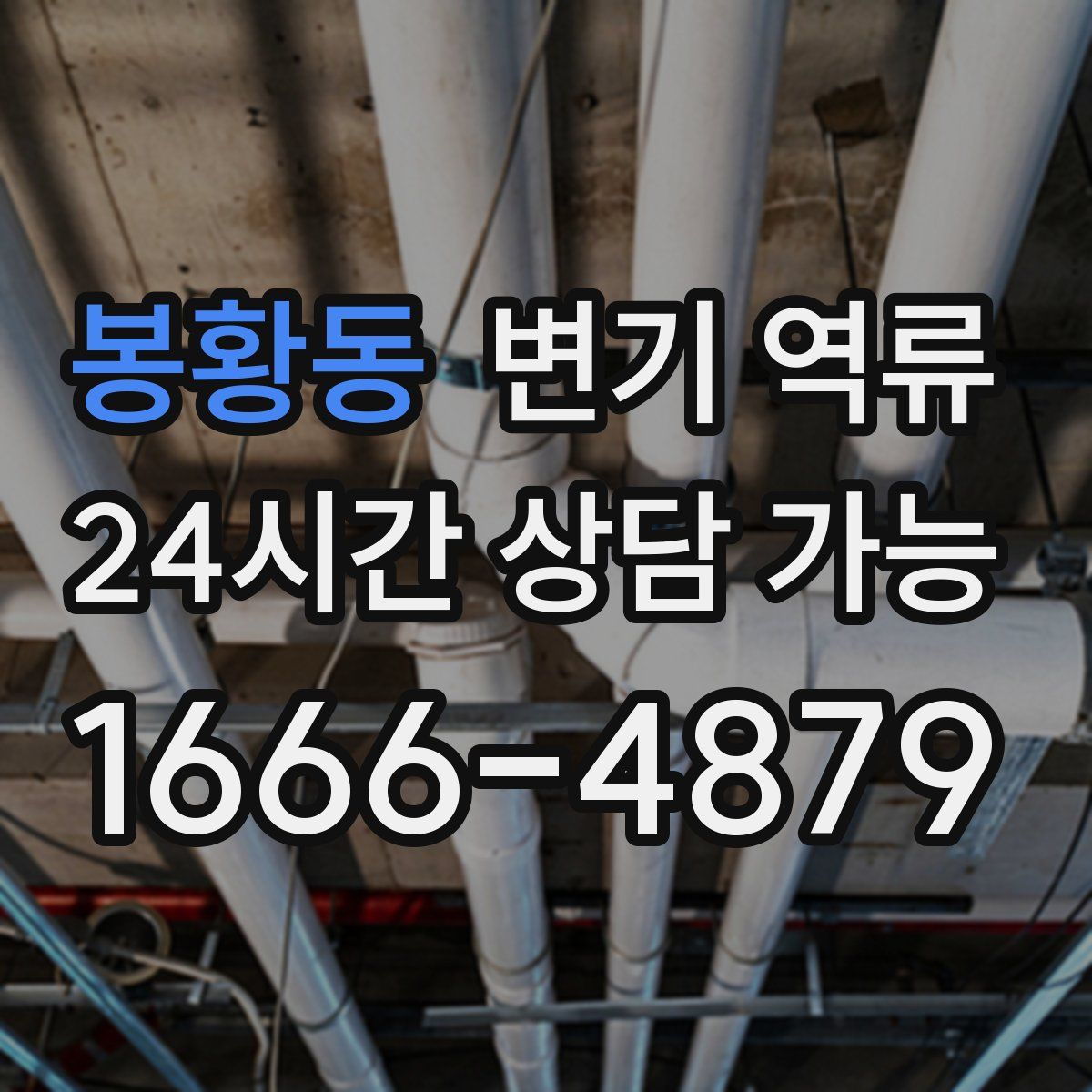 봉황동 변기 역류