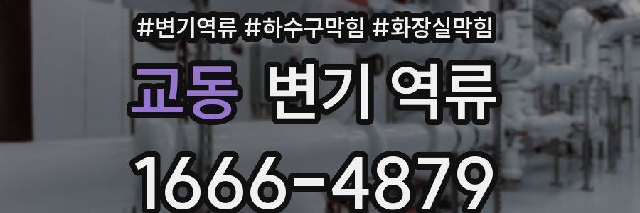 교동 변기 역류