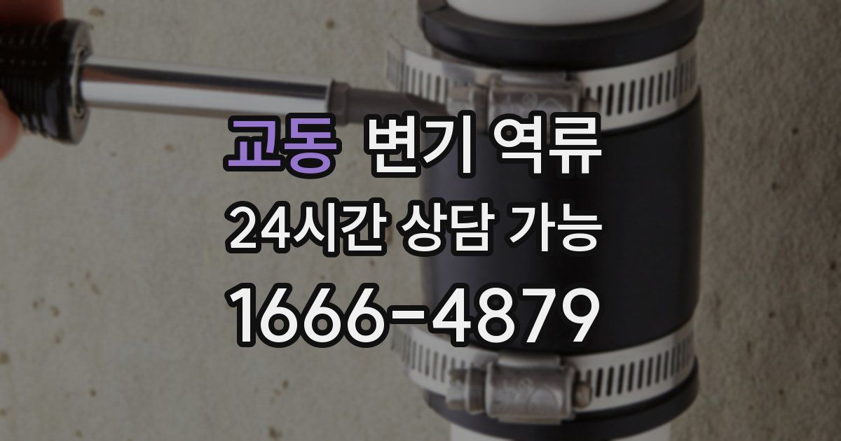 교동 변기 역류